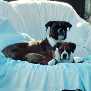 Meet your Posher, Tonda